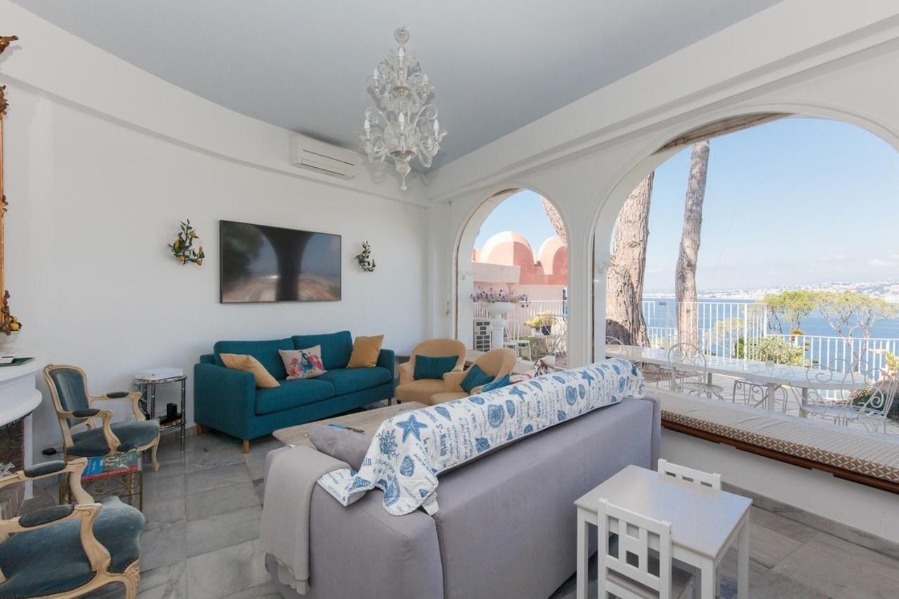Villa Chateau Des - Five Stars House Nizza